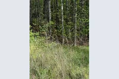 0 Eastside Drive, Ellijay, GA 30536 - Photo 6