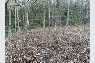 4 Villa Weg, Helen, GA 30545 - Photo 4