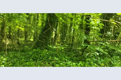 0 Watkins Glen Drive, Kennesaw, GA 30144 - Photo 2