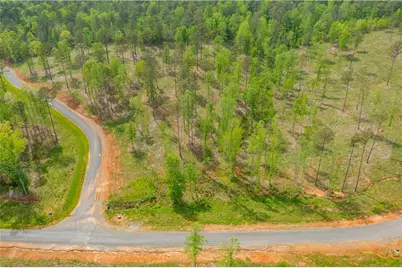 L349 The Vineyard At Yukon, Ellijay, GA 30540 - Photo 4