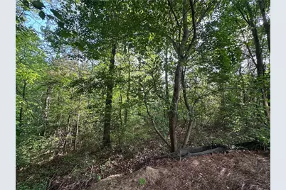 261 Potomac Drive, Dallas, GA 30132 - Photo 64