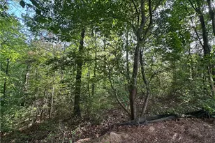 261 Potomac Dr, Dallas, GA 30132 - Photo 64