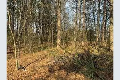 2949 Rosebud Road, Snellville, GA 30078 - Photo 34