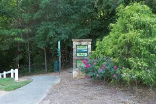 441 Mountain View Ln, Woodstock, GA 30188 - Photo 40