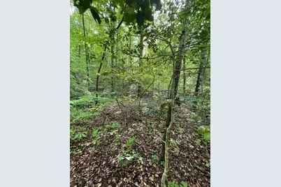 0 McCormick Drive, Dawsonville, GA 30534 - Photo 6