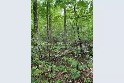 0 McCormick Drive, Dawsonville, GA 30534 - Photo 10