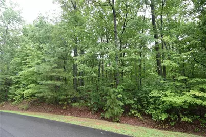 76 N Harris Creek Drive, Ellijay, GA 30540 - Photo 6