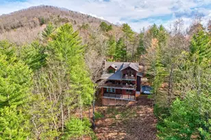 425 Rhonda Ln, Mineral Bluff, GA 30559 - Photo 60