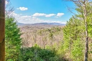 425 Rhonda Ln, Mineral Bluff, GA 30559 - Photo 56