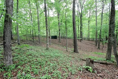 445 Lula Payne Trail, Ball Ground, GA 30107 - Photo 20