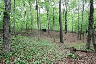 445 Lula Payne Trail, Ball Ground, GA 30107 - Photo 20