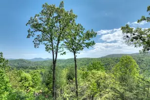 46 Cochise Road, Blue Ridge, GA 30513 - Photo 54