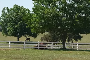 20 Willow Woods Rd, Social Circle, GA 30025 - Photo 36