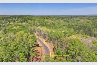 13565 Wood Fern Way, Milton, GA 30075 - Photo 2