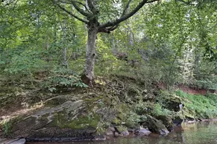 1560 Howell Bridge Rd, Ball Ground, GA 30107 - Photo 12