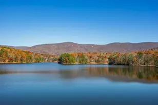 147 Laurel Mill Trail, Jasper, GA 30143 - Photo 56