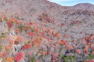 80 Mountain Mint Dr, Big Canoe, GA 30143 - Photo 18