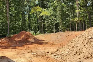 100 Gleneagles Wy, Pendergrass, GA 30567 - Photo 24