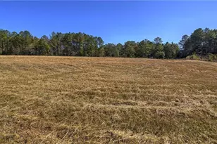 91 Davis Loop, Kingston, GA 30145 - Photo 20