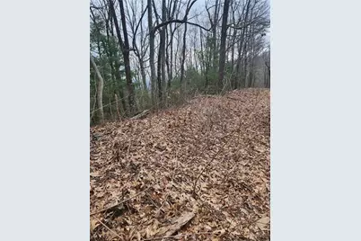 0 Dowell Circle, Ellijay, GA 30540 - Photo 2