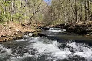 354 Starcross Ln, Jasper, GA 30143 - Photo 84