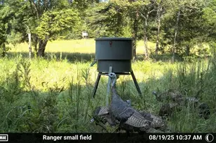 7596 Red Bud Rd NE, Ranger, GA 30734 - Photo 4