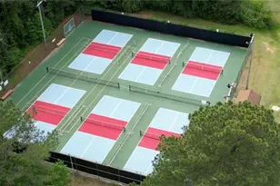 386 Flamingo Dr, Monticello, GA 31064 - Photo 32