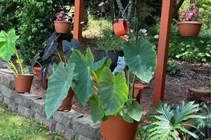 218 Burt Nix Rd, Blairsville, GA 30512 - Photo 50