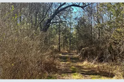 0 Conniston Road, Chatsworth, GA 30705 - Photo 12