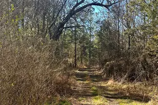 0 Conniston Rd, Chatsworth, GA 30705 - Photo 12