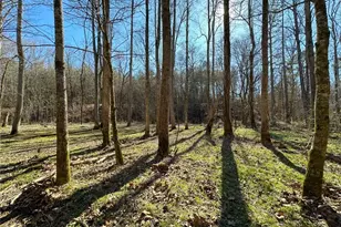 0 Conniston Rd, Chatsworth, GA 30705 - Photo 14