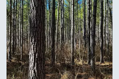 0 Conniston Road, Chatsworth, GA 30705 - Photo 16