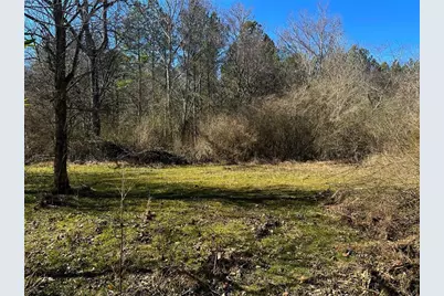 0 Conniston Road, Chatsworth, GA 30705 - Photo 2