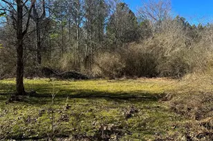 0 Conniston Rd, Chatsworth, GA 30705 - Photo 2