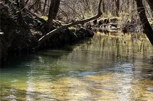 0 Conniston Rd, Chatsworth, GA 30705 - Photo 6