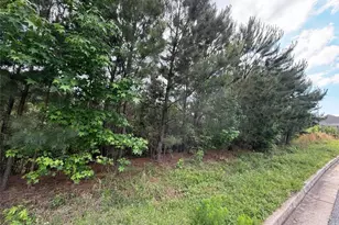 40 Arbor Springs Pkwy, Newnan, GA 30265 - Photo 4