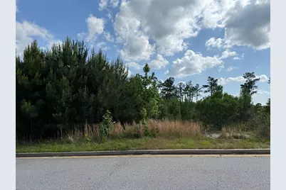 40 Arbor Springs Parkway, Newnan, GA 30265 - Photo 2