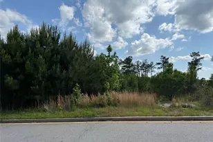 40 Arbor Springs Pkwy, Newnan, GA 30265 - Photo 2