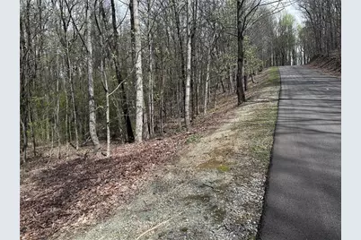 189 St Andrews Way, Ellijay, GA 30536 - Photo 22