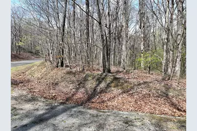 189 St Andrews Way, Ellijay, GA 30536 - Photo 2