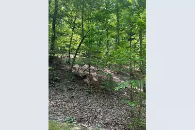 220 Yanegwa Knoll, Dawsonville, GA 30534 - Photo 8