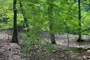 220 Yanegwa Knoll, Dawsonville, GA 30534 - Photo 10