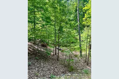 220 Yanegwa Knoll, Dawsonville, GA 30534 - Photo 6