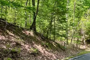 220 Yanegwa Knoll, Dawsonville, GA 30534 - Photo 2