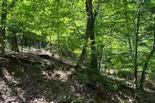 220 Yanegwa Knoll, Dawsonville, GA 30534 - Photo 4