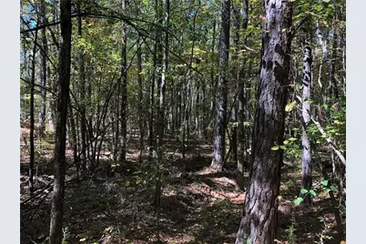 0 Coady Road, Jackson, GA 30233 - Photo 4