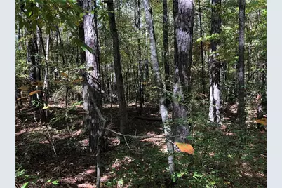 0 Coady Road, Jackson, GA 30233 - Photo 2