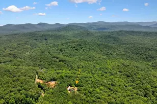 60 Dovetail Ln, Talking Rock, GA 30175 - Photo 62