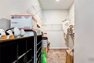 457 Panhandle Pl, Hampton, GA 30228 - Photo 16