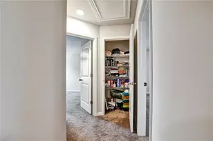 457 Panhandle Pl, Hampton, GA 30228 - Photo 30